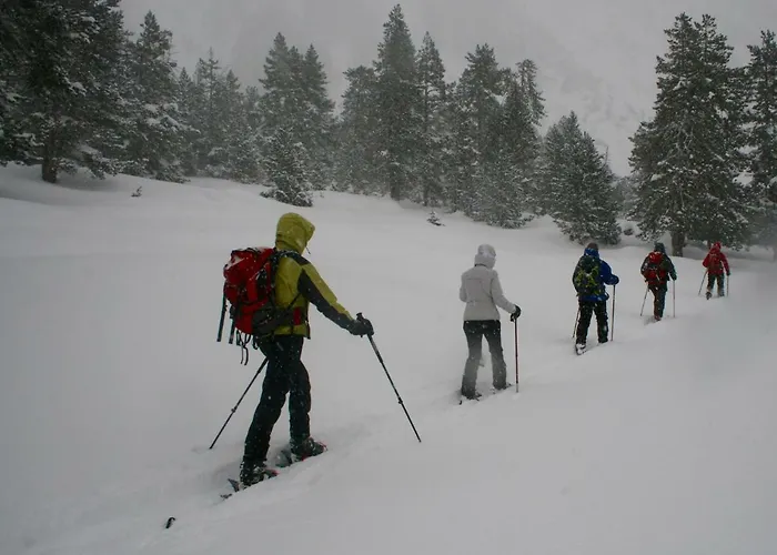 Amaroq Explorers Basecamp Feriehus Tremp